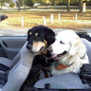 Meet your Posher, Jimmy